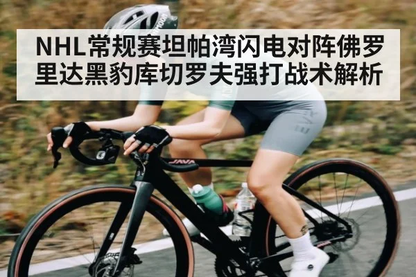 NHL常规赛坦帕湾闪电对阵佛罗里达黑豹库切罗夫强打战术解析 | KAIYUN