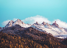 两次滚进法国球门 抢掷边线球 C罗好想赢但没赢!